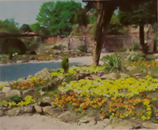 Carr Lodge Park Rock Garden