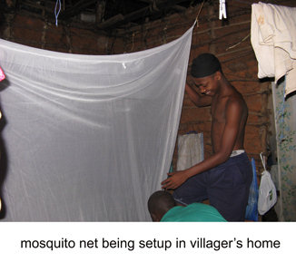 mosquito_net_in_home