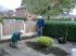thumb_Gardening3