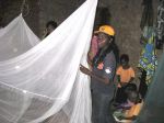 mosquito_nets